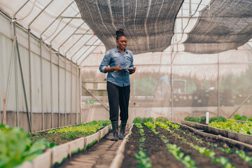 Farmer inspecting crops in the field